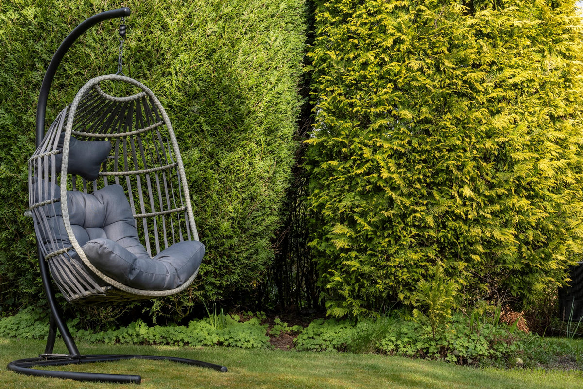 Signature Folding Hanging Chair with Grey Cushion