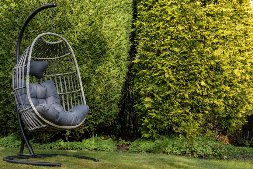 Signature Folding Hanging Chair with Grey Cushion