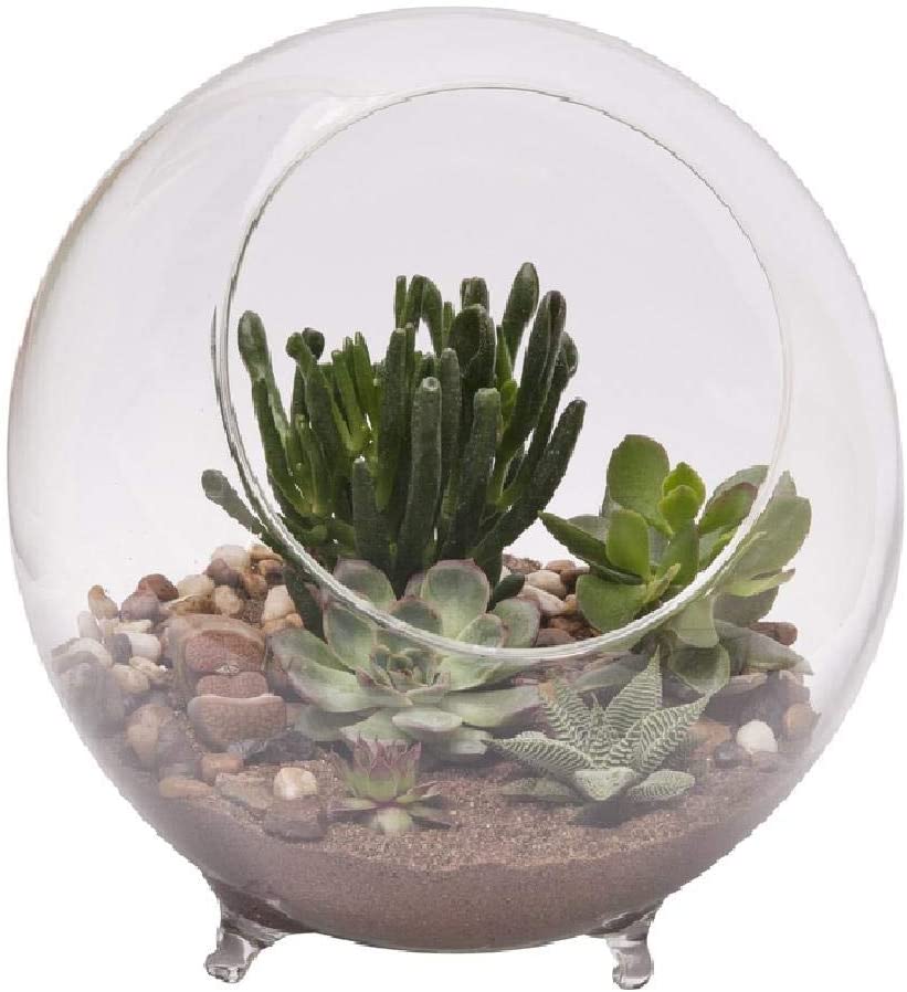 Large Glass Terrarium Sphere with Feet
