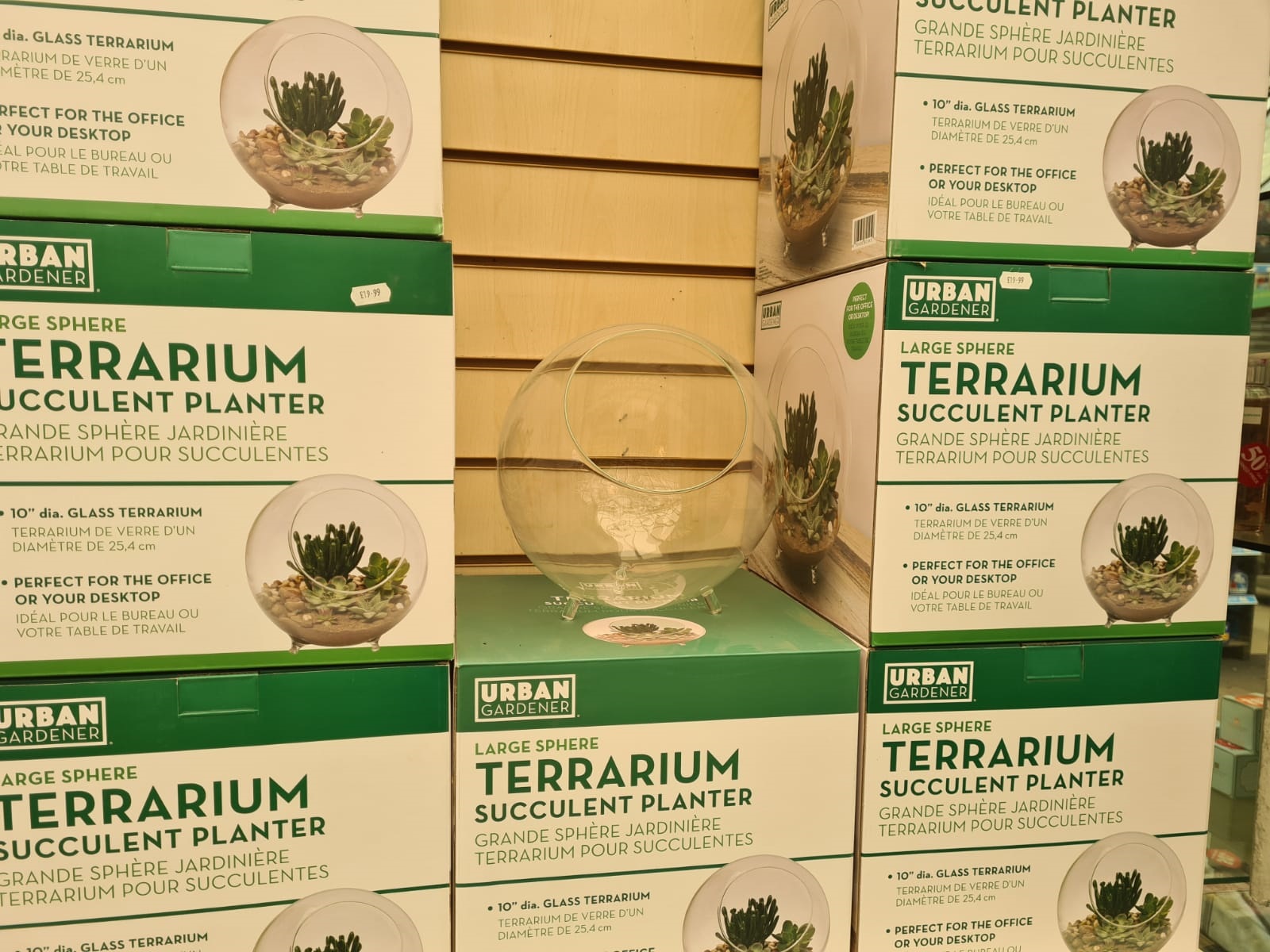 Large Glass Terrarium Sphere with Feet