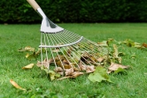 Stainless Steel Long Lawn and Leaf Rake