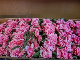 1 stem of 65cm Carnation Spray Pink 
