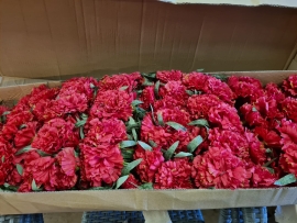 1 stem of 65cm Carnation Spray Red 