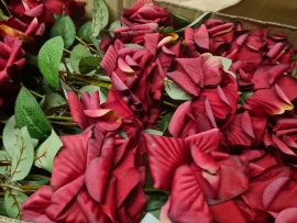 24 Bella Roses Red 72cm