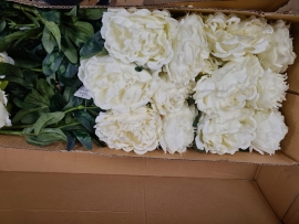 24 Peony flowers Spray Cream 68cm