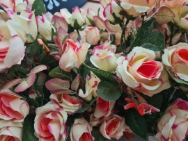  36 Roses fuschia/cream 66cm