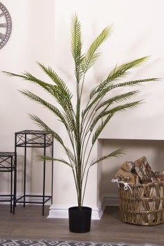 180cm Areca Palm Tree