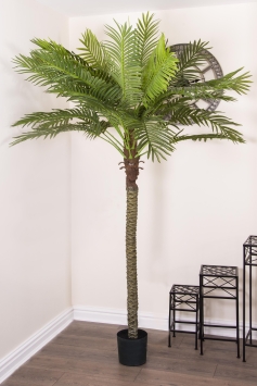 180cm Areca Palm Tree (Real Touch)