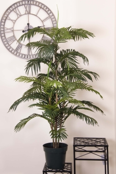 150cm Areca Palm