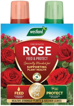 Westland 2  in  1 Feed and Protect Rose (2x500ml)
